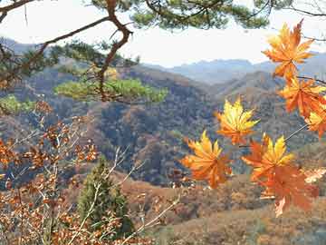 文华东方落子苏州，南非旅游签证流程简化 | 一周旅行指南|界面新闻 · 旅行